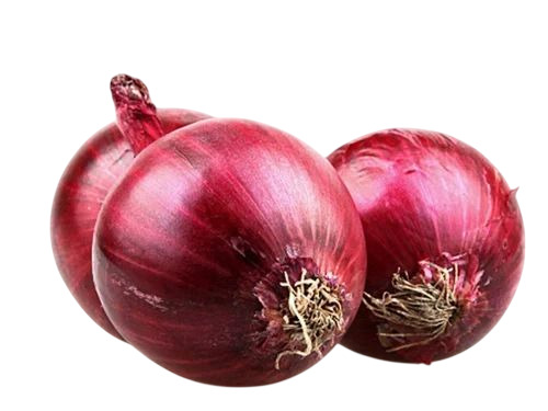Pusa Red Onion