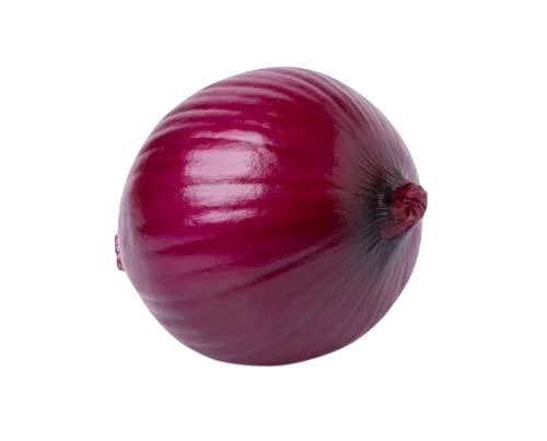 Rose Red Onion