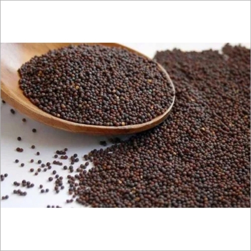 Black Natural Mustard Seeds