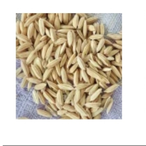 Loose Paddy Rice Seeds 