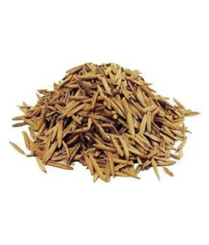 Indrajav Seeds