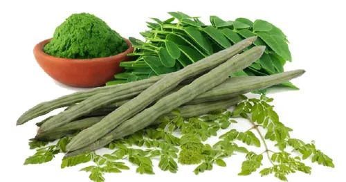 Moringa Leaves Powder