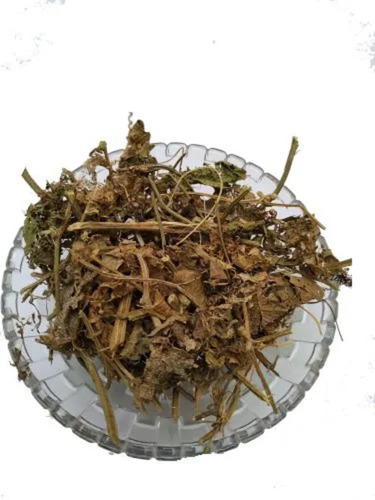Patol Panchang