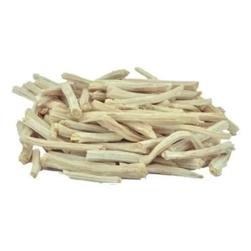 White Shatavari Root