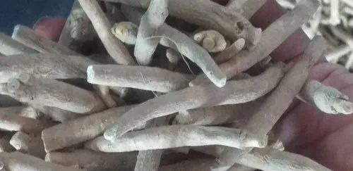 Ashwagandha Root Withania Somnifera