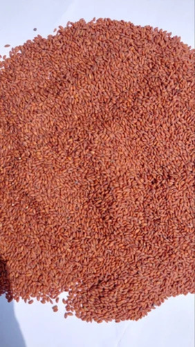 Best Asaliya Seeds