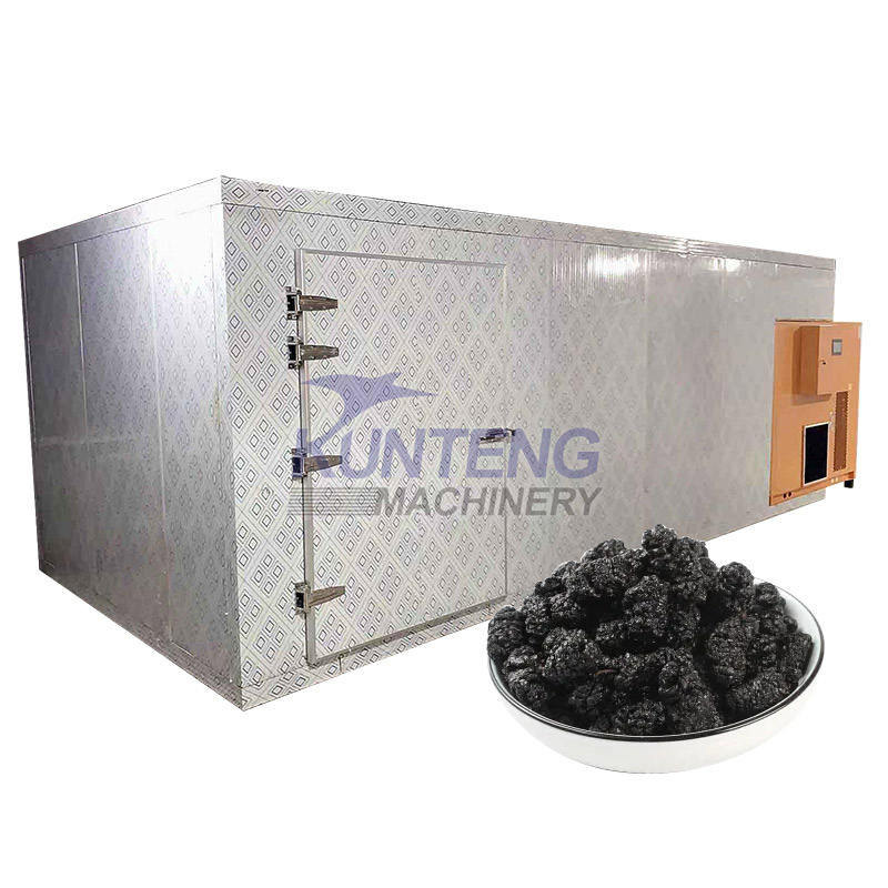 Fruits Drying Machine Vegetables Processing Drying Equipment - Capacity: Customized Kg/hr