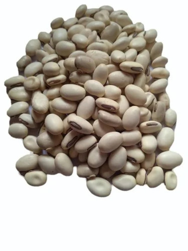 Kaunch Seed By Motwani Brothers