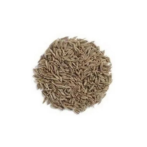 Organic Cumin Seed