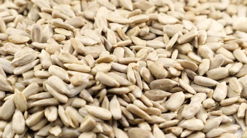 Organic Sunflower Seed