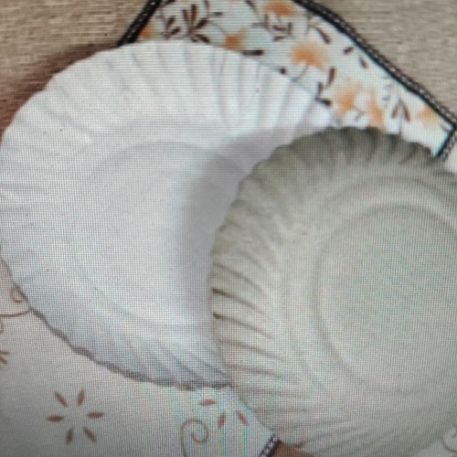 Paper plate for sandwich