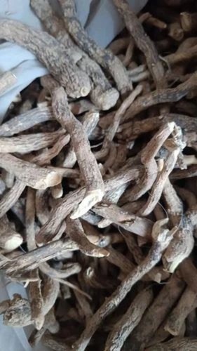 Sarpagandha Dried Root