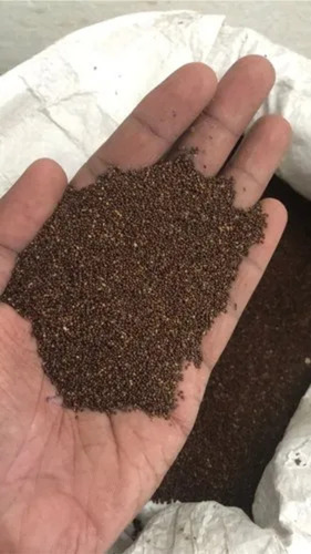 Tulsi Seeds