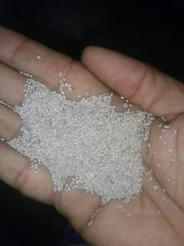 White Chia Seeds