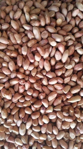 10% Raw Peanut Kernel