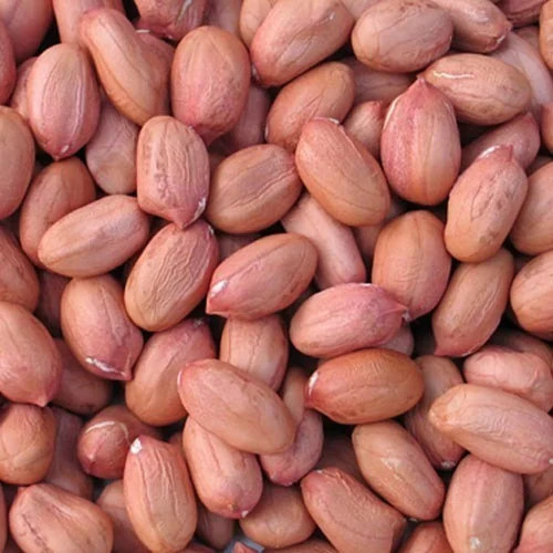 6% Raw Peanut Kernel