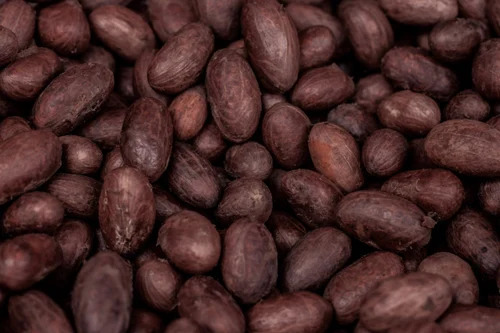 Brown Cocoa Beans