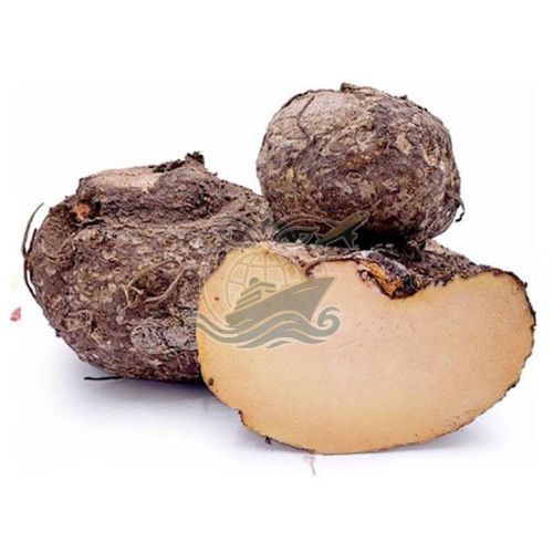 Elephant Yam