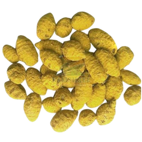 Erode Turmeric Bulb
