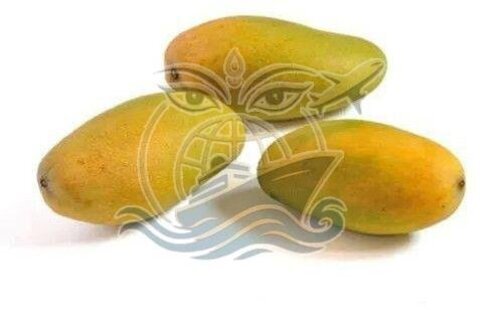 Fresh Dasheri Mango