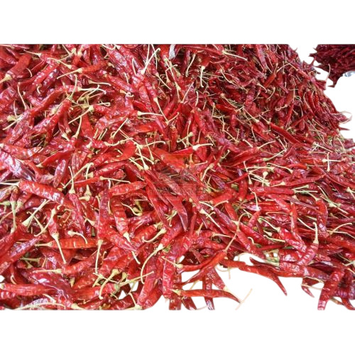 Guntur Dry Red Chilli