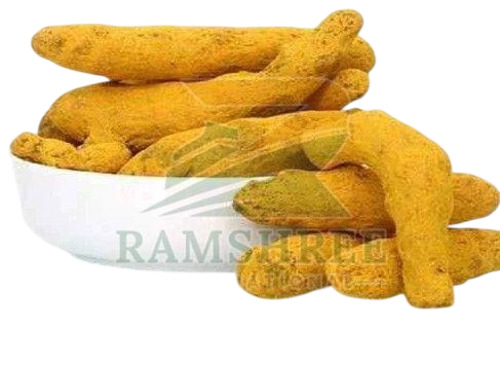Lakadong Turmeric Finger