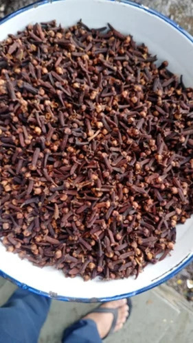 Long Clove Lal Pari