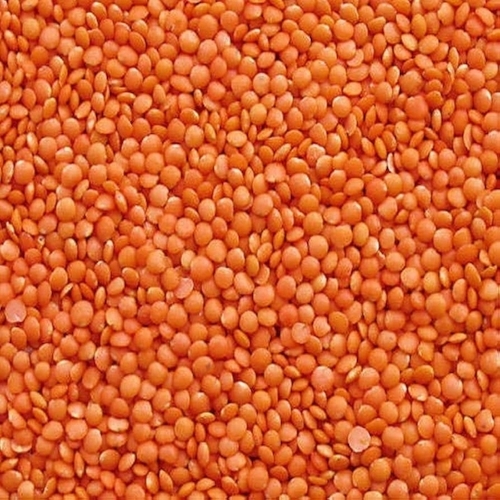 Masoor Dal By J. D. Corporation