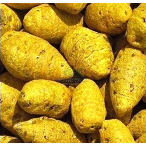Salem Turmeric Bulb