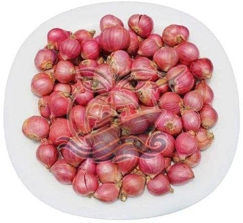 Small Red Onion