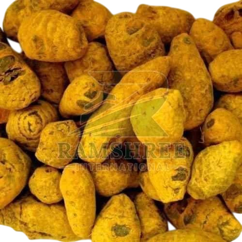 Turmeric Bulb