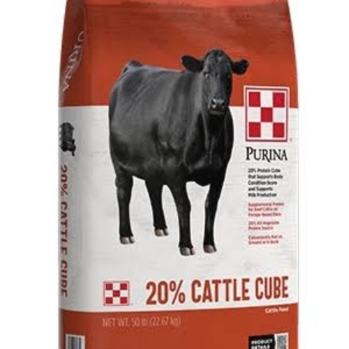 Cattle Cubes
