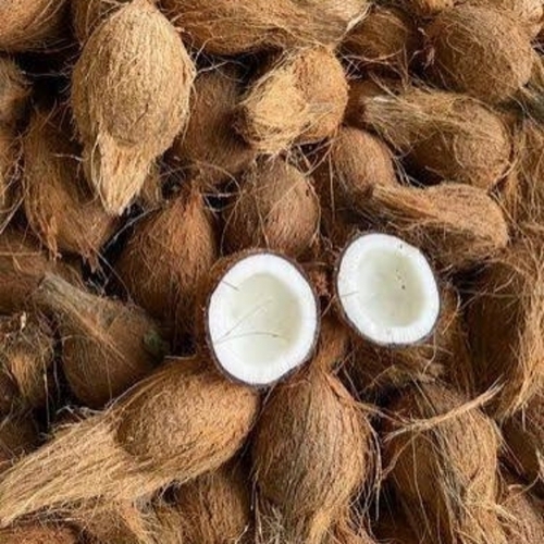 Fresh Semi Husked Coconut