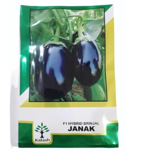 Janak F1 Hybrid Brinjal Seeds