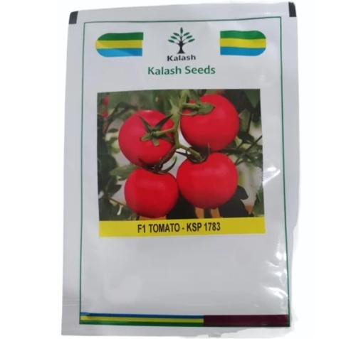 Ns-537 Tomato Seeds