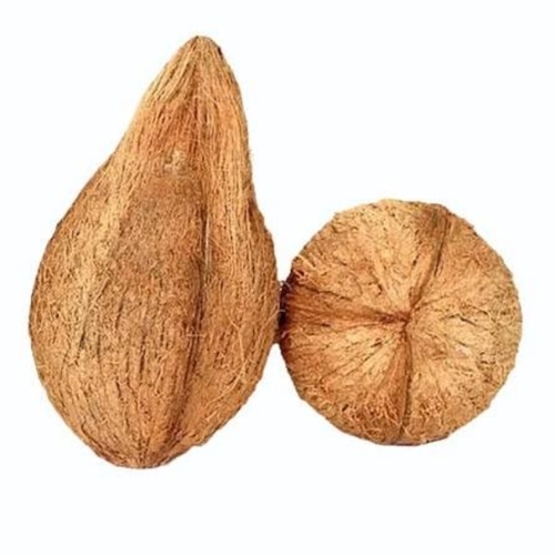 Semi Husked Coconuts