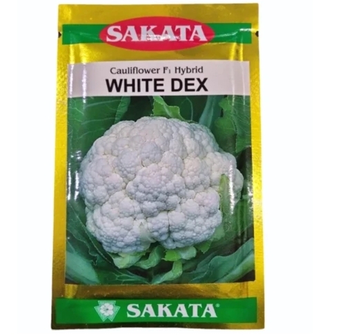White Dex Hybrid Cauliflower Seeds