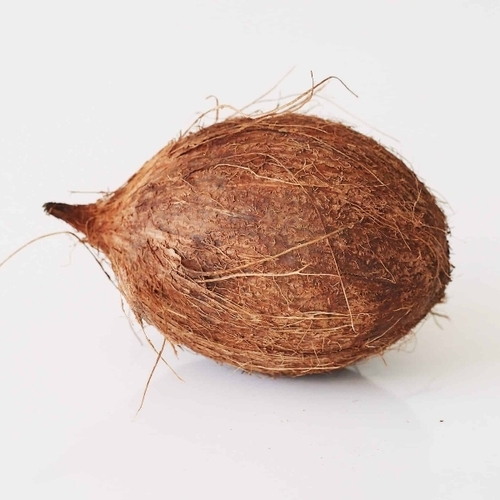Brown Coconut