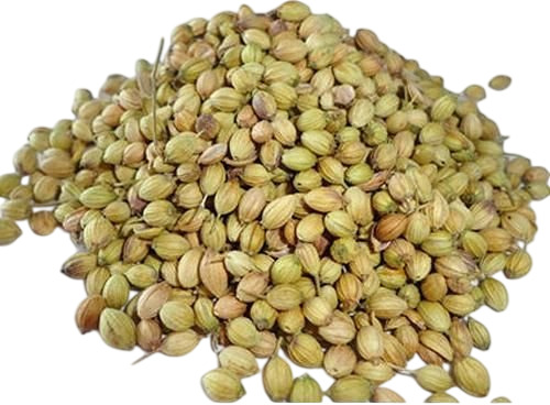 Coriander Seeds