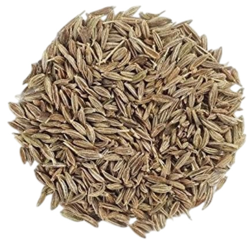 Cumin Seeds By R. C. Traders