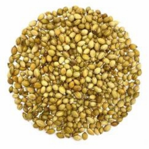 Eagle Green Coriander Seeds