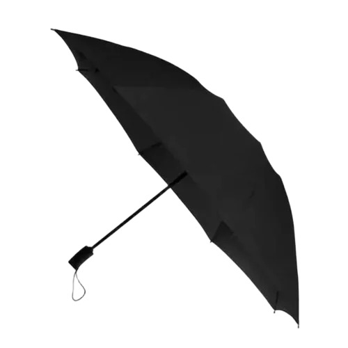Fancy Black Umbrella