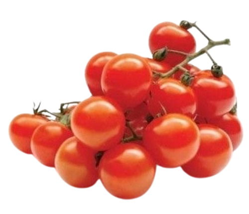 Fresh Cherry Tomatoes