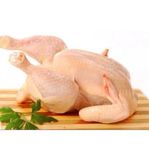 Frozen Halal Whole Chicken