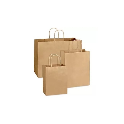 Paper Carry Bags