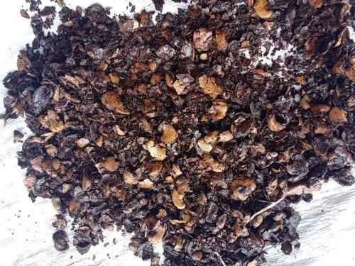Cashew Nut Shell Cake