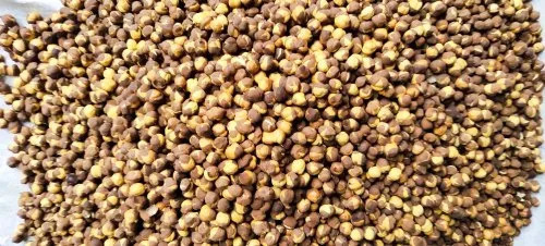 Organic Roasted Chana
