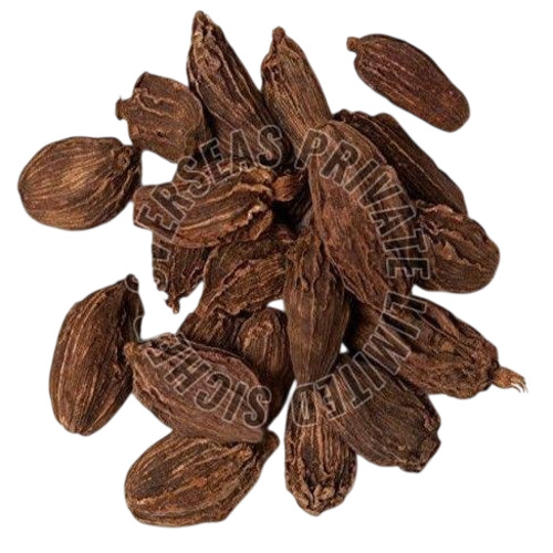 Black Cardamom