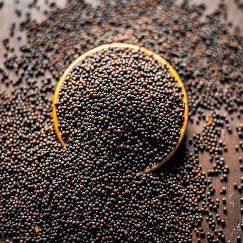 Bold Black Mustard Seeds