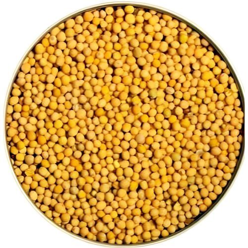 Bold Yellow Mustard Seeds